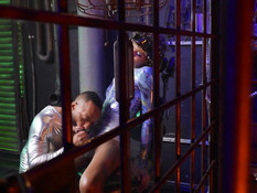 Мулат трахает кудрявого чернокожего транса с татуировками и пирсингом