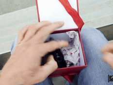 Темноволосую тёлку с обвисшими сиськами отодрали во влагалище и анус