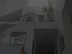 Татуированный мулат отодрал пышную грудастую брюнетку и кончил в рот