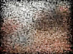 Nice teen having fun with a friend