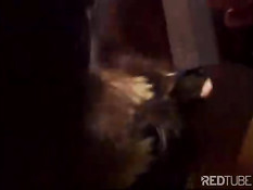 Sucking and vaginal fun in wilderness 