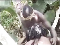 African aborigine fucking