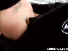 Bimbo chicks get fucked in public