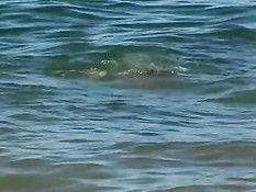 Double blowjob on the tennis court